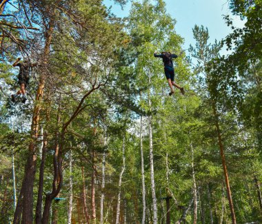 Gölün kıyısındaki güzel taş kayalar. Birçok ağaç kayaların üzerinde yetişir. Taş bir kayanın üzerindeki çam ormanı. Burabay Milli Parkı, Kazakistan
