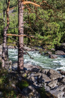 Chulcha Nehri yakınında Uchar şelale
