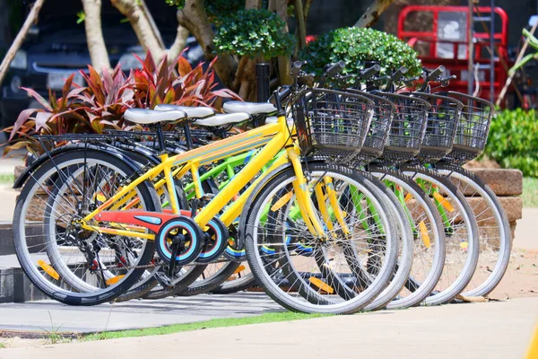 Cinque Biciclette Gialle Verdi Sono Parcheggio Ordine Sfondo Del Giardino — Foto Stock