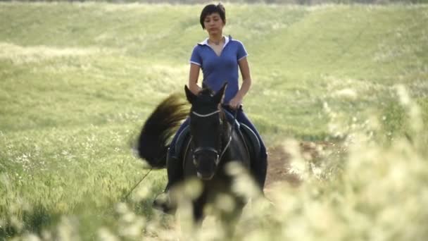 Fille équitation un cheval ralenti — Video