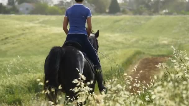 Fille monter un cheval — Video