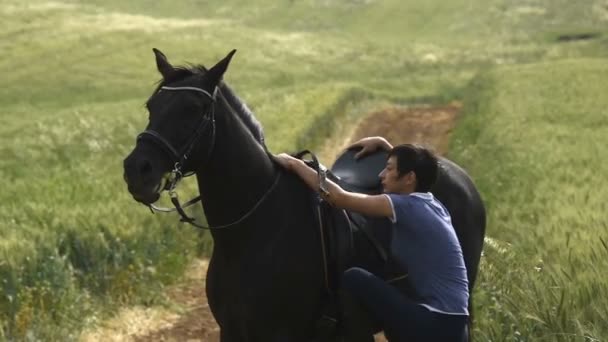 Menina chegando no cavalo — Vídeo de Stock
