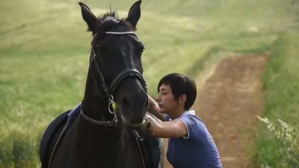 女孩在上这匹马 — 图库视频影像