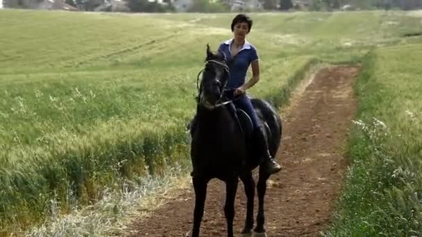 Menina sela um cavalo — Vídeo de Stock