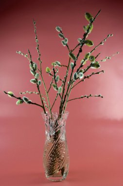 Söğüt dalları. 2