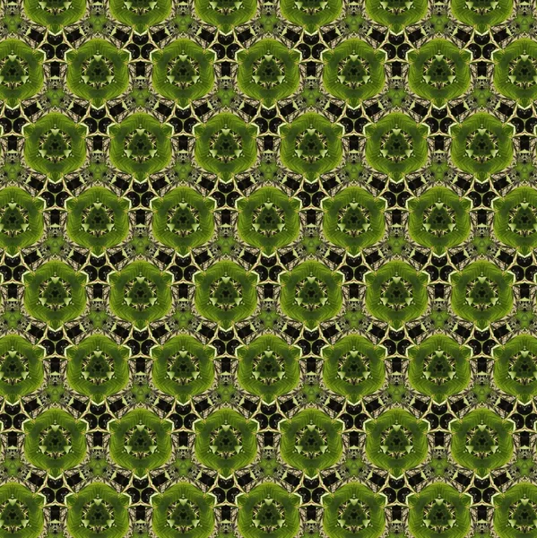 緑 carpet.2 — ストック写真