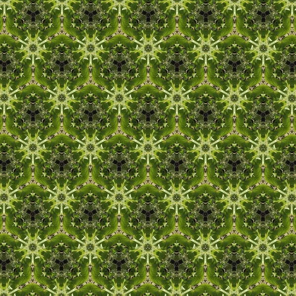 緑 carpet.1 — ストック写真