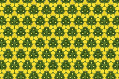 Fantezi Çiçeklik. Y