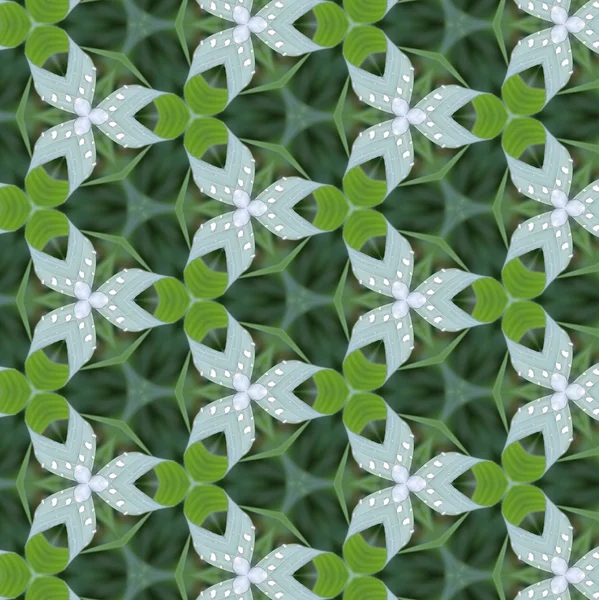 緑の pattern.1 の背景 — ストック写真