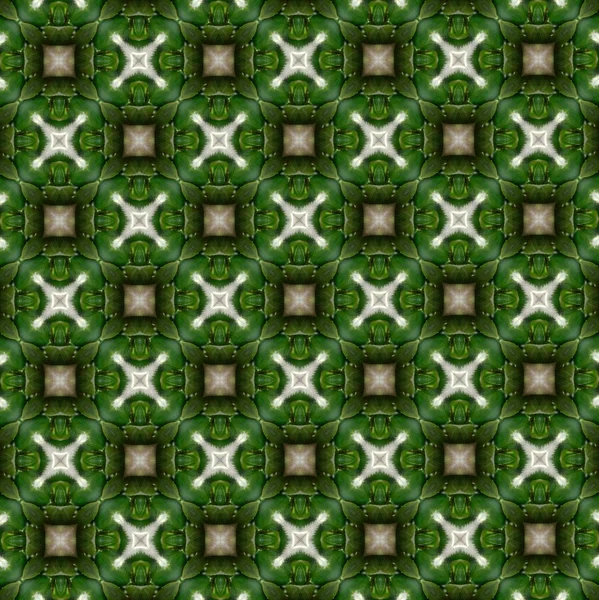 Zöld és szürke minták. 3 — Stock Fotó