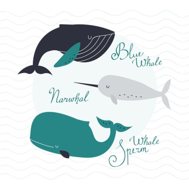 Awesome whales on wavy background