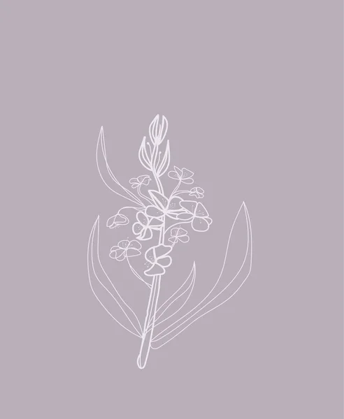 Beautiful Delicate Plant Style Minimalism — Stock Vector