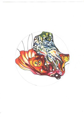 Uzayın ve diğer gezegenlerin görüntüleri. Hayali karakterler, fantastik insanlar, peri hayvanlar ve canlanan nesneler.