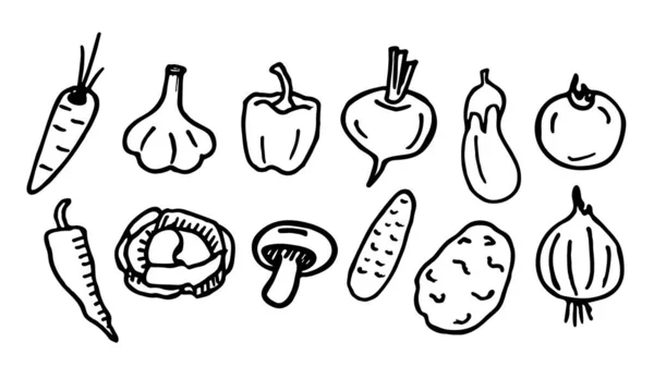 Ensemble Légumes Légumes Dessinés Main Des Légumes Caniches Doodle Vectoriel — Image vectorielle