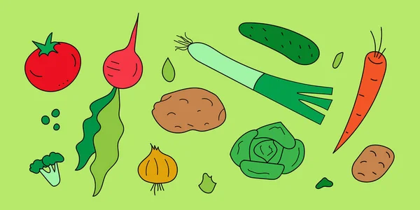 Ensemble Légumes Légumes Dessinés Main Des Légumes Caniches Illustration Vectorielle — Image vectorielle