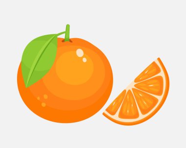 Orange and orange slice. Vector juicy illustration isolated on white background. vector
