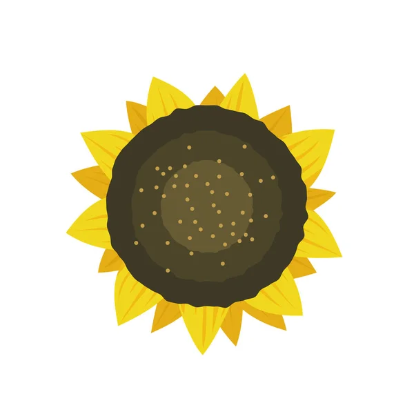 Ηλιοτρόπιο Εικονογράφηση Διάνυσμα Ενός Λουλουδιού Επίπεδη Διανυσματική Απεικόνιση Απομονωμένη Λευκό — Διανυσματικό Αρχείο