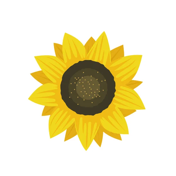 Sunflower Vector Illustration Flower Flat Vector Illustration Isolated White Background — Stock Vector