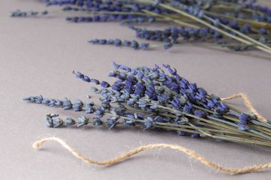  Güzel kurutulmuş lavanta bitkisi.