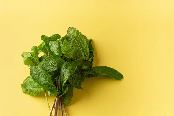Fresh Green Mint Leaves Yellow Background — Stock Photo, Image