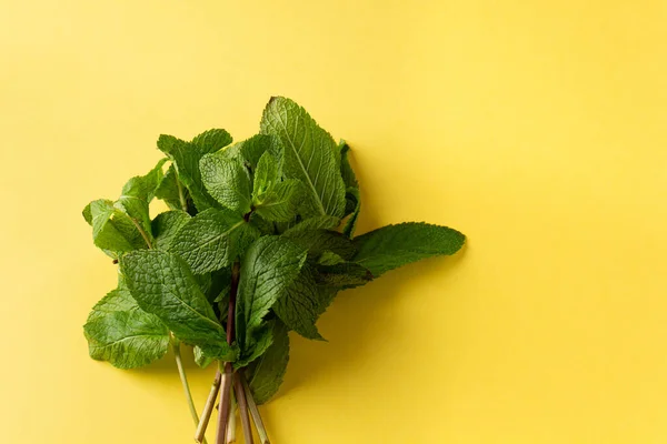 Fresh Green Mint Leaves Yellow Background — Stock Photo, Image