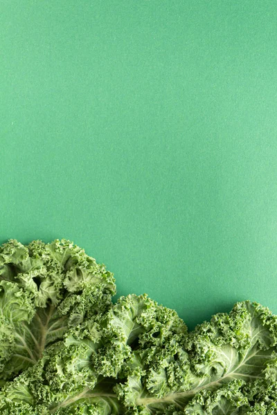 Kale super food clean eating on a green background