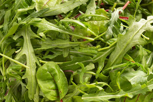 Salada Verde Uma Tigela Close — Fotografia de Stock