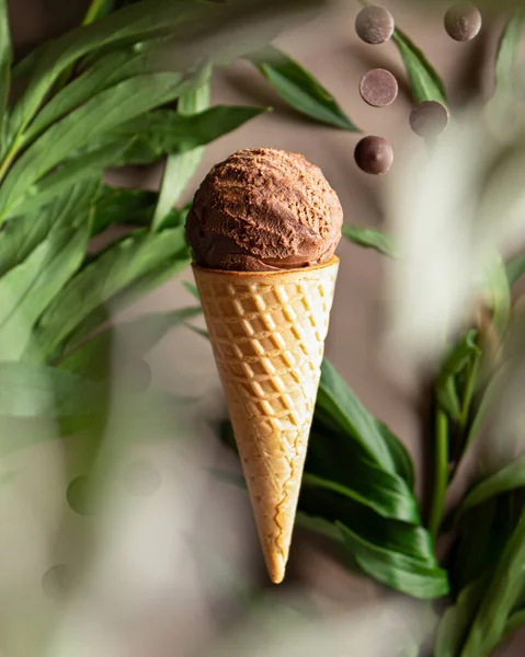 flying chocolate ice cream in a waffle cone. Chocolate chips and drops and plant leaves all around. Falling chocolate ice cream. Chocolate ice cream made from dark bitter, milk chocolate