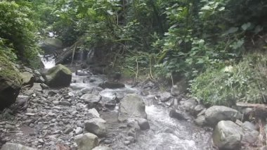 Ormanın ortasındaki doğal nehir.