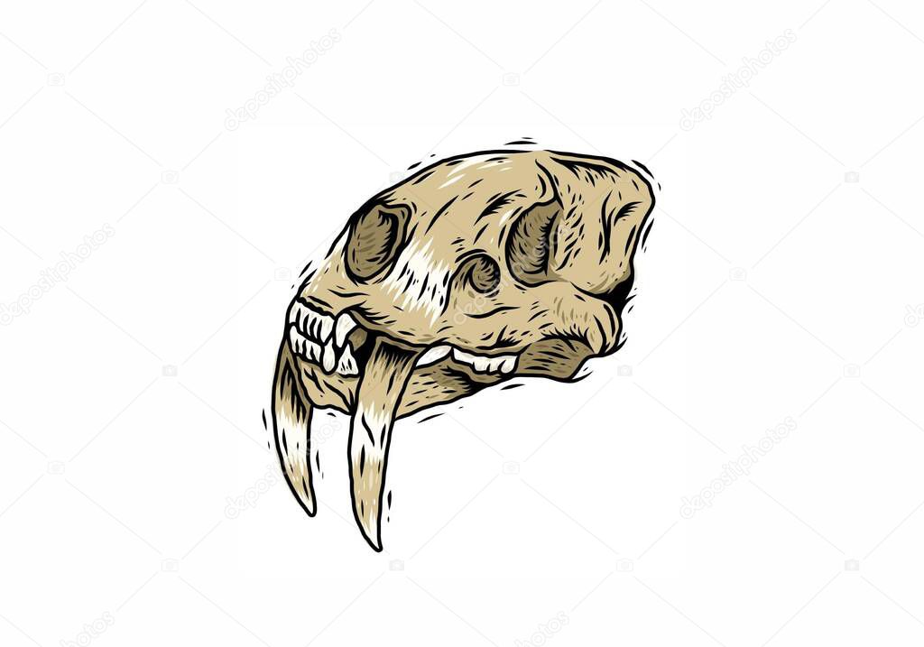 Brown sea lions skeleton line art illustration design