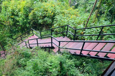 Orman fotoğrafında inen tahta merdivenler.