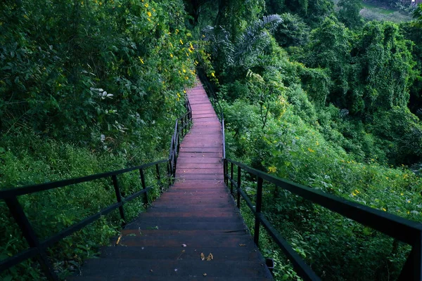 Escalera Madera Larga Medio Del Bosque Foto — Foto de Stock