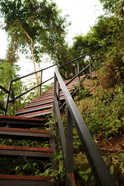 iron stairs in the middle of the garden photo