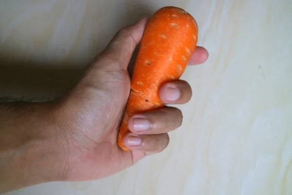 Mano Sosteniendo Una Pequeña Foto Zanahoria — Foto de Stock