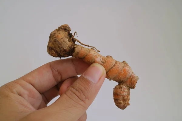 Brun Galangal För Matlagning Eller Smaksättning Foto — Stockfoto