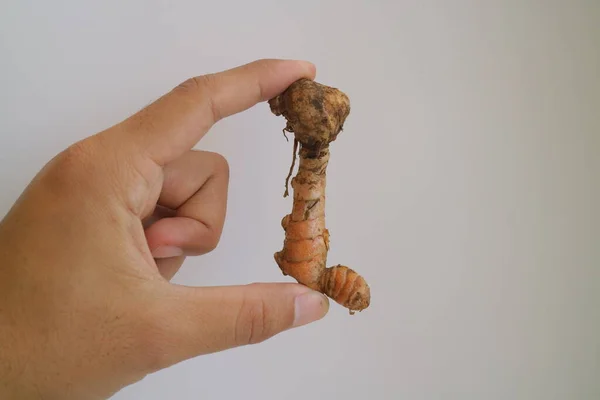 Galangal Marrón Para Cocinar Sazonar Foto — Foto de Stock