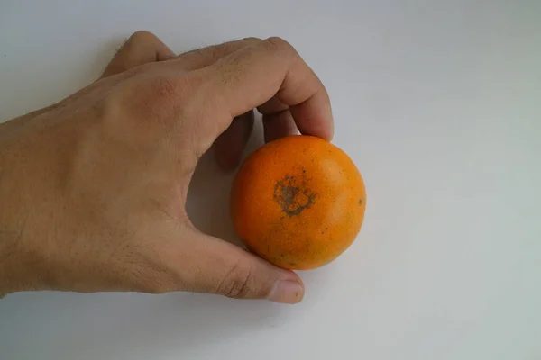 Petite Couleur Jaune Fruits Frais Orange Photo — Photo