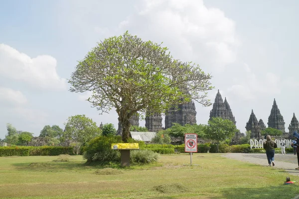 Klaten Indonesia Mayıs 2021 Prambanan Tapınağı Klaten Tarihi Klasik Mimarisi — Stok fotoğraf