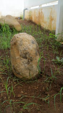 Toprak zemin üzerinde küçük yeşil çimlerle çevrili büyük doğal kayalara yakın.