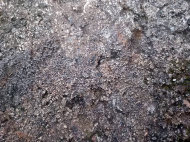 Pürüzlü gri taş ve çakıl dokusu küçük çakıl taşları ve kumlu yüzey ile yakınlaşır. İnce yosun yamalarıyla doğal kaya arka planı..