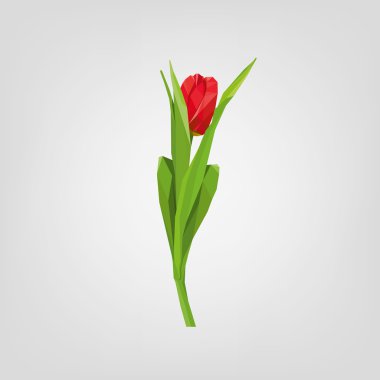 Poligonal çiçek Lale. Logo tasarım.