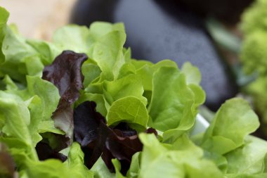 Kasede yeşil salata