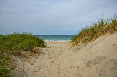 Kum tepeleri bataklık çimenler yeşil okyanus ve mavi gökyüzü