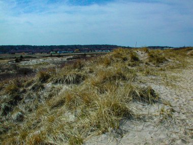 Marshfield Massachusetts 'teki Rexham Sahili' nde kum tepeleri. Güney nehrinin yanında.