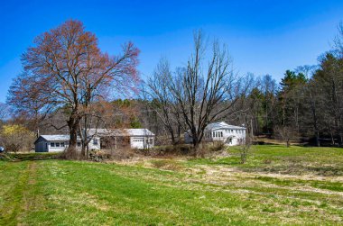 Mavi gökyüzü ve çiftlik evi olan ağaç çizgisi olan tarım arazisi