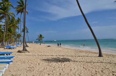 Dominik Cumhuriyeti 'ndeki sahil manzarası