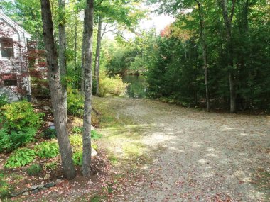 0065 _ Ormanda toprak yol