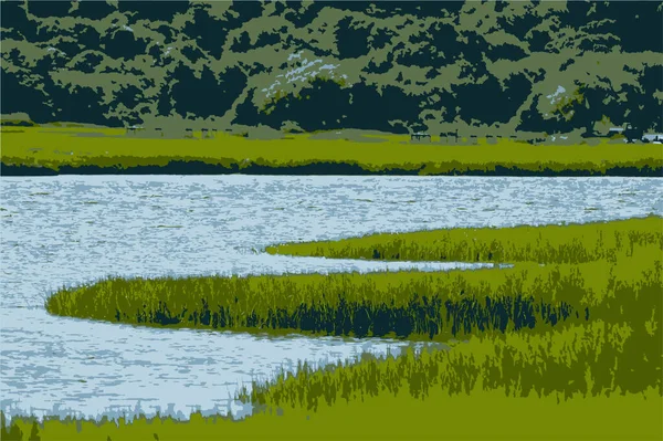 South River Marsh Mit Sumpfgras Und Bäumen — Stockvektor