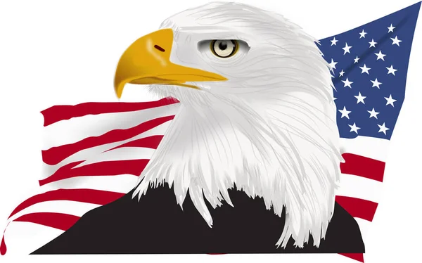American Bald Eagle Drawing Yellow Beak American Flag Back Ground — Stock Vector