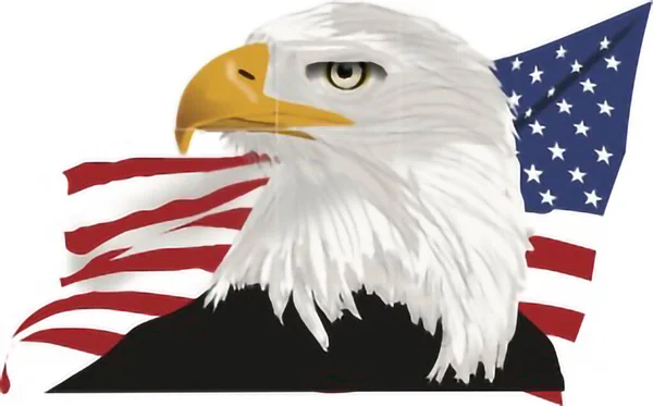 Orel Bělohlavý Před Americkou Vlajkovou Ilustrací — Stock fotografie